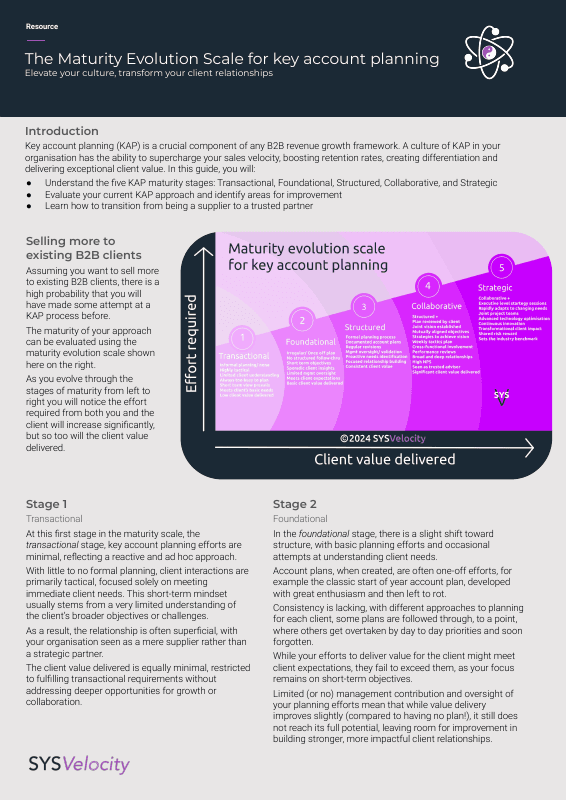 Cover of the Key Account Planning Maturity Scale